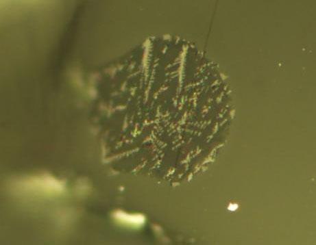 melt inclusions in lunar soil samples